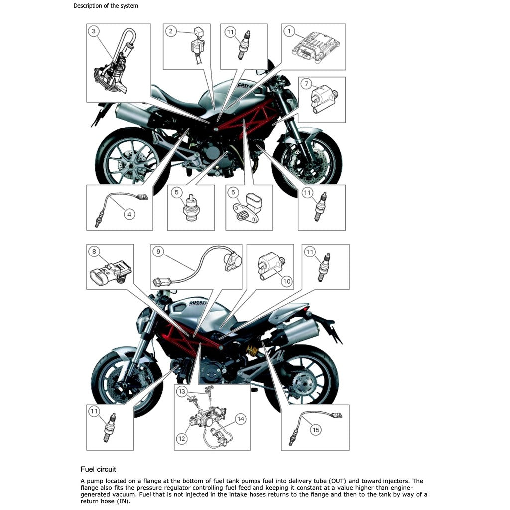 Ducati MONSTER 796 2010-2014 Full Manual Set – Service Repair Workshop Manual and Spare Parts Catalog and User Handbook - page 5