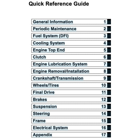 Kawasaki VERSYS KLE 650 2015+ Full Manual Set – Repair & Maintenance Manualand Spare Parts Catalog and User Handbook - page 2