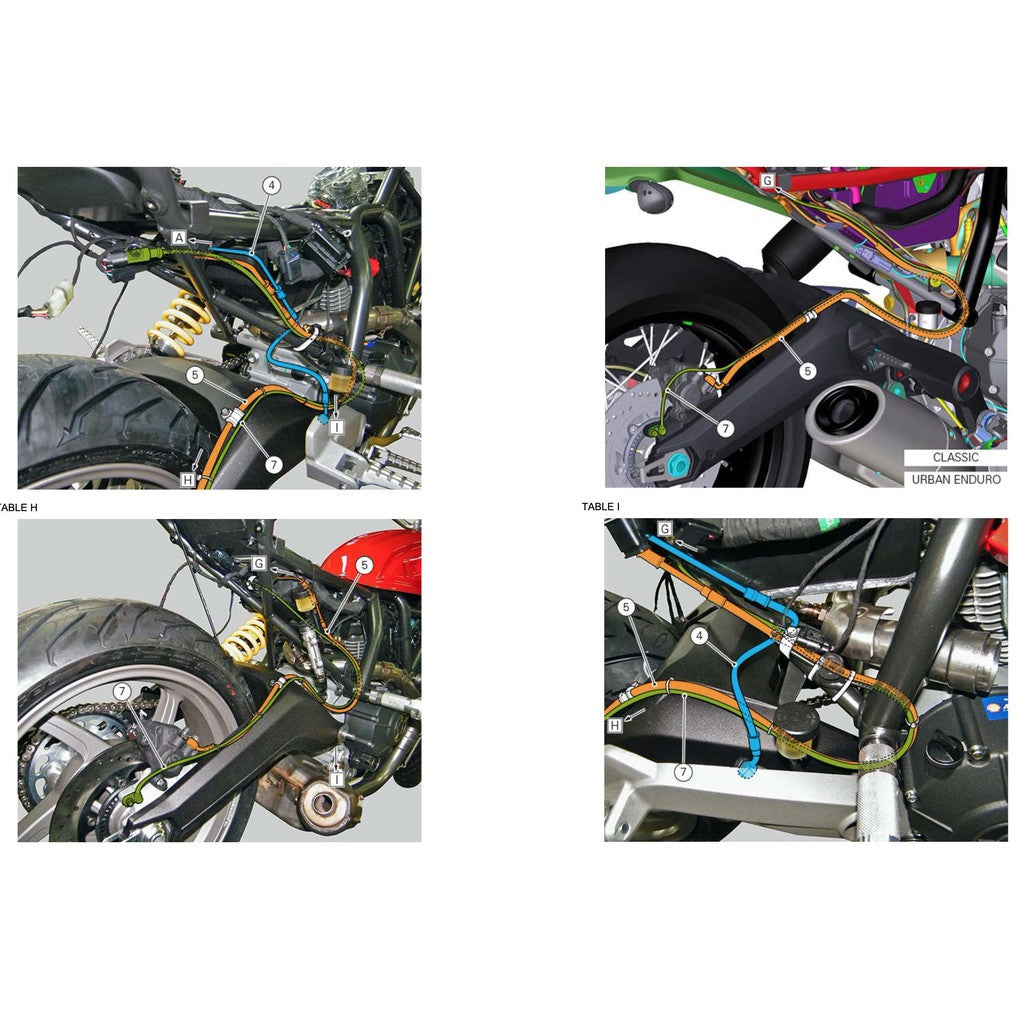 Ducati SCRAMBLER 800 2015-2018 Full Manual Set – Service Repair Workshop Manual and Spare Parts Catalog and User Handbook - page 4