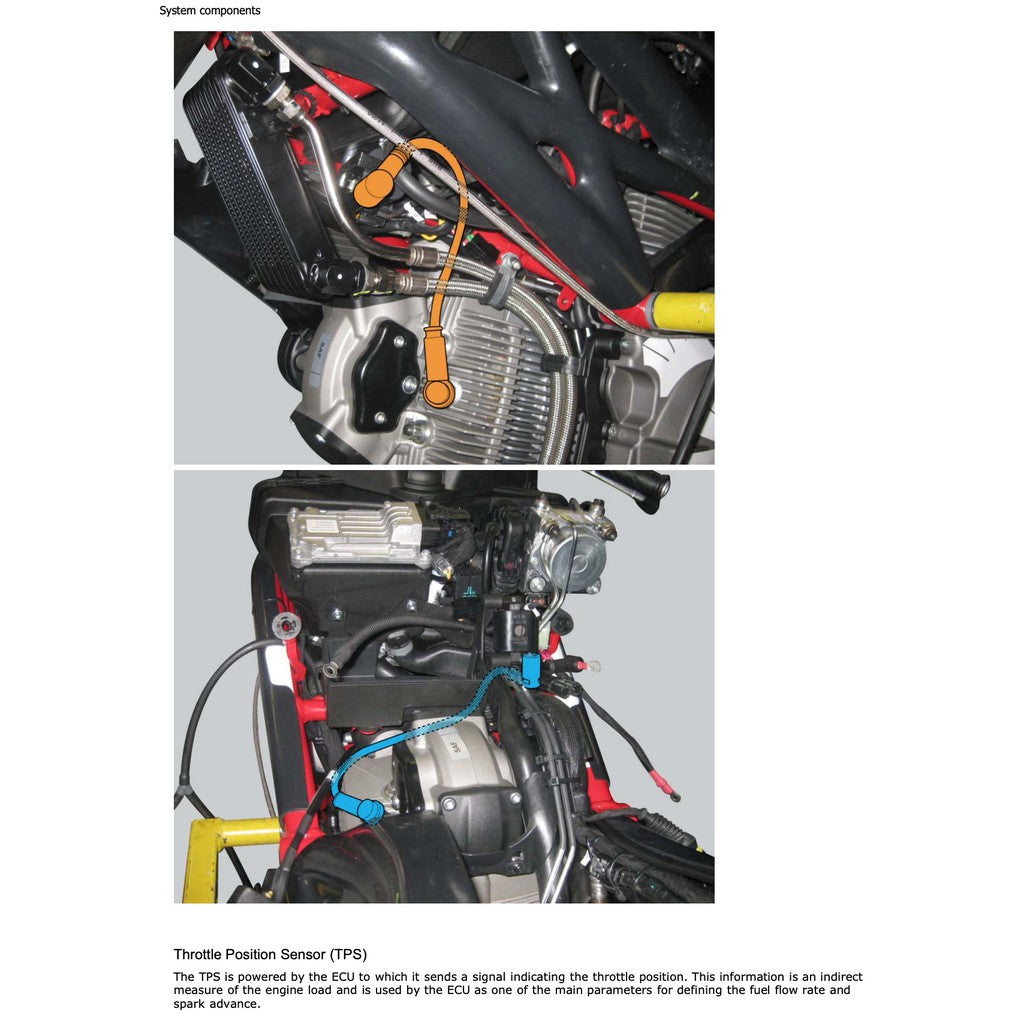Ducati MONSTER 796 2010-2014 Full Manual Set – Service Repair Workshop Manual and Spare Parts Catalog and User Handbook - page 4