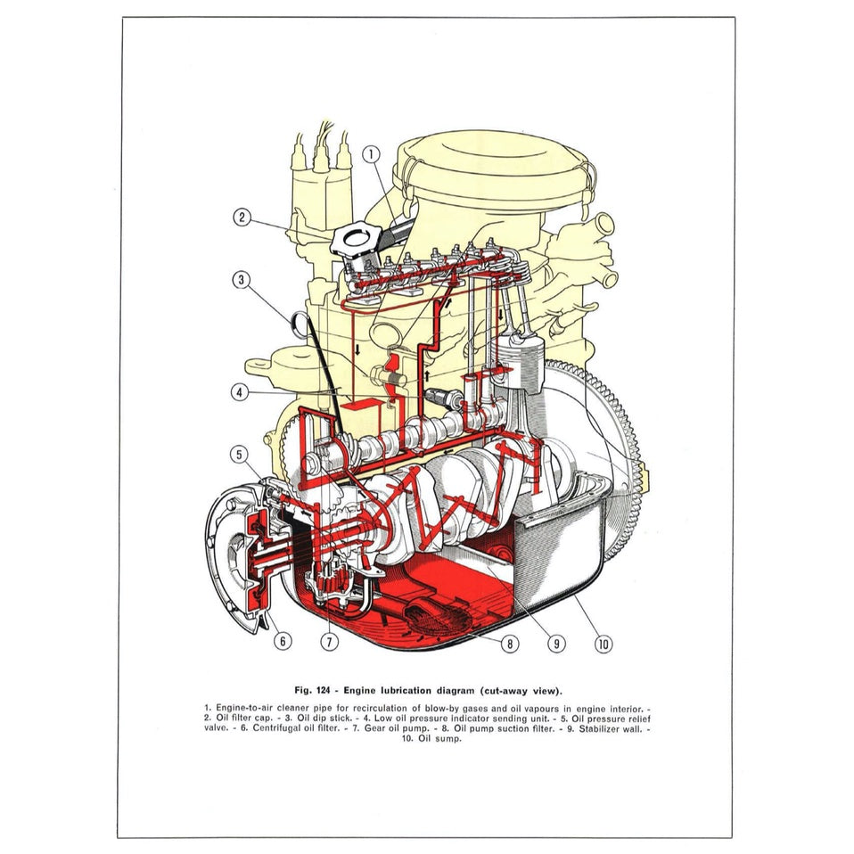 Fiat 850 100 B/C/G 1964-1973 Full Manual Set – Repair & Maintenance Manual and User Handbook - page 5