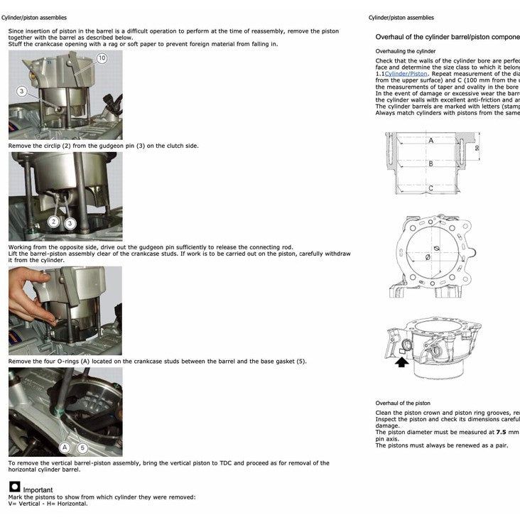 Ducati DIAVEL CARBON Service Repair Workshop Manual and Parts Book and User Manual - page 8