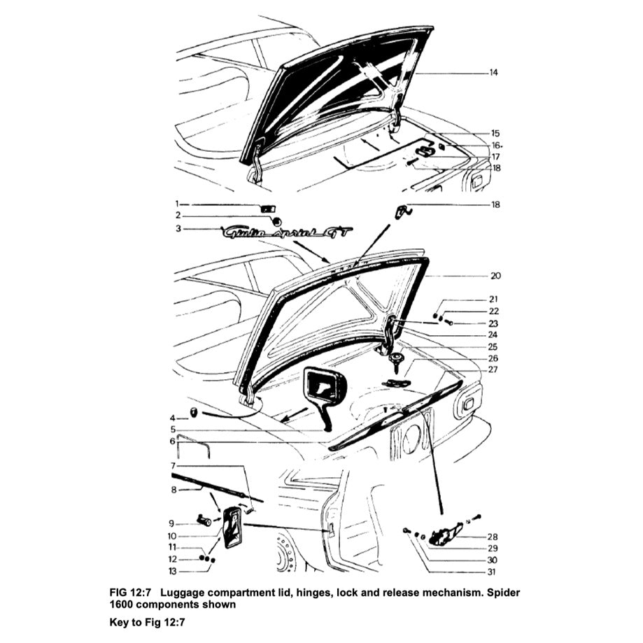 Alfa Romeo GIULIA & SPIDER 1962-1978 Full Manual Set – Owner Workshop Manual - BROOKLANDS/AUTOBOOK - page 8