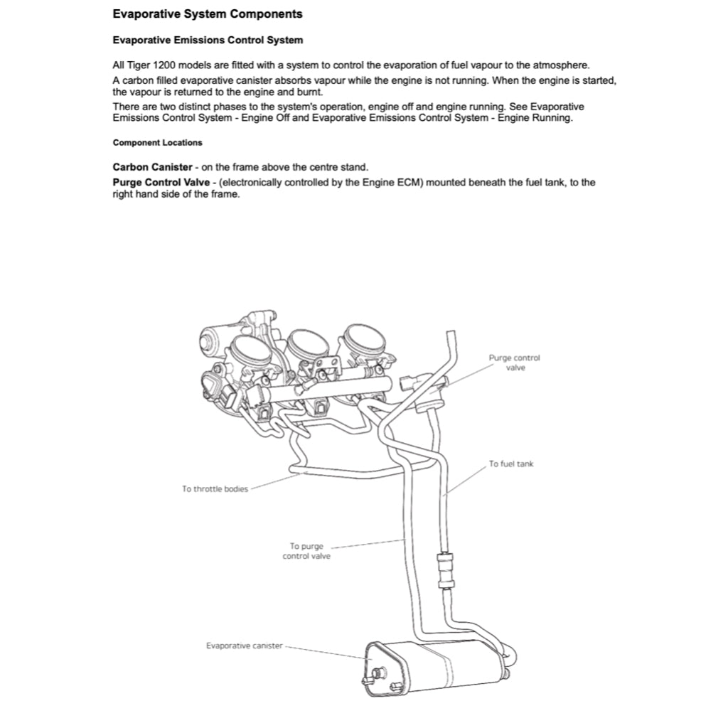 Triumph TIGER 1200 XCX 2016-2023 Full Manual Set – Repair & Maintenance Manual and User Handbook - page 9