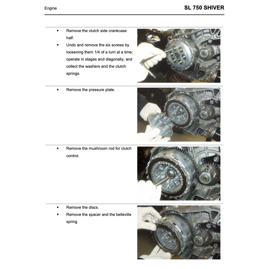 Aprilia SHIVER SL750 2007-2016 Full Manual Set – Repair & Maintenance Manual and Spare Parts Catalog and User Handbook - page 4