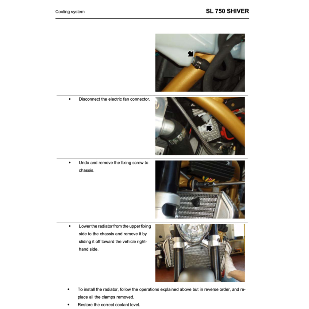 Aprilia SHIVER SL750 2007-2016 Full Manual Set – Repair & Maintenance Manual and Spare Parts Catalog and User Handbook - page 8