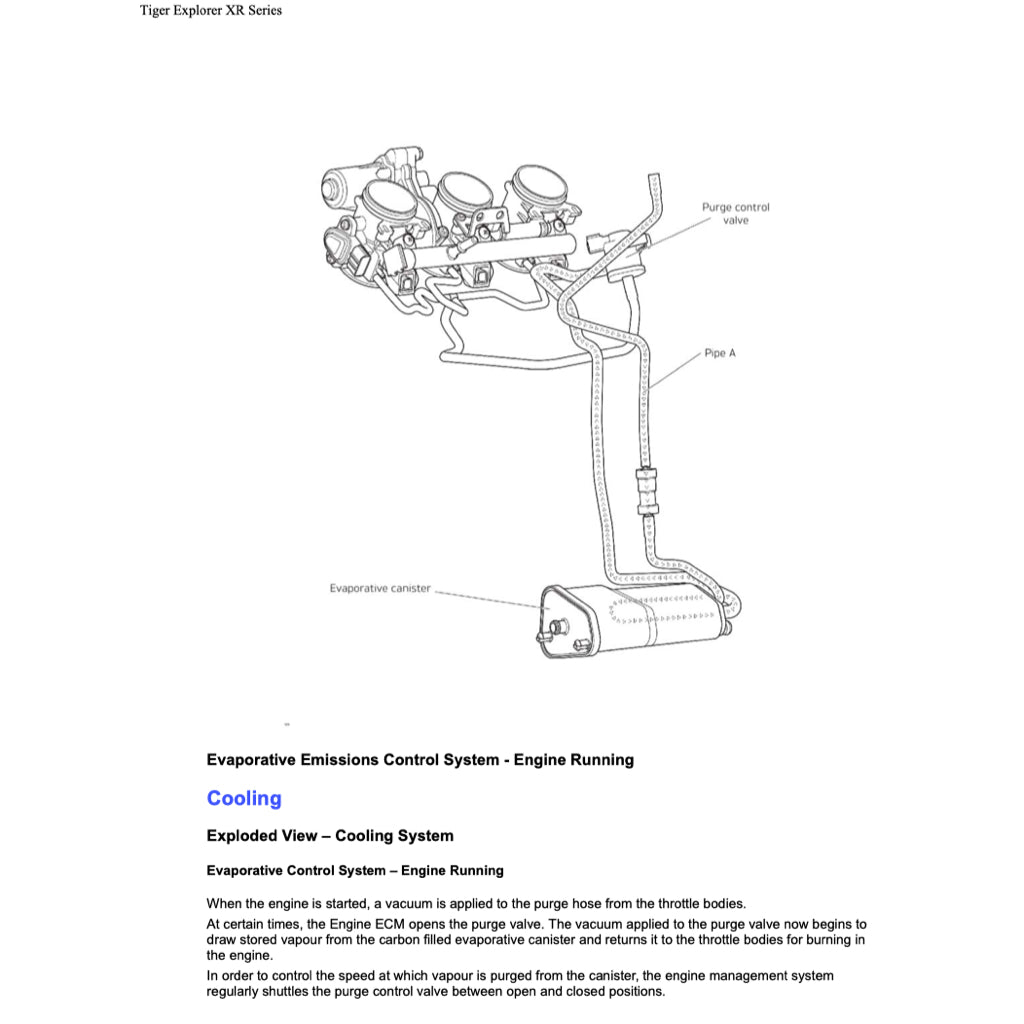 Triumph EXPLORER 1200 XR/XRX/XRT 2016-2021 Full Manual Set – Repair & Maintenance Manual and User Handbook - page 4