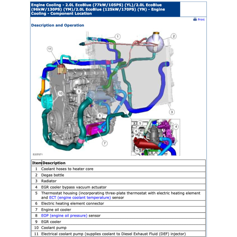 Ford RANGER T6 2019-2021 Full Manual Set – Repair & Maintenance Manual - ALSO CALLED RANGER "T7" - page 9