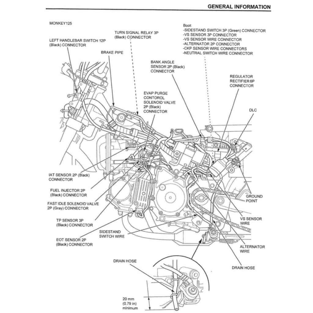 Honda MONKEY Z125 2019+ Full Manual Set – Repair & Maintenance Manual and Spare Parts Catalog and User Handbook - page 10