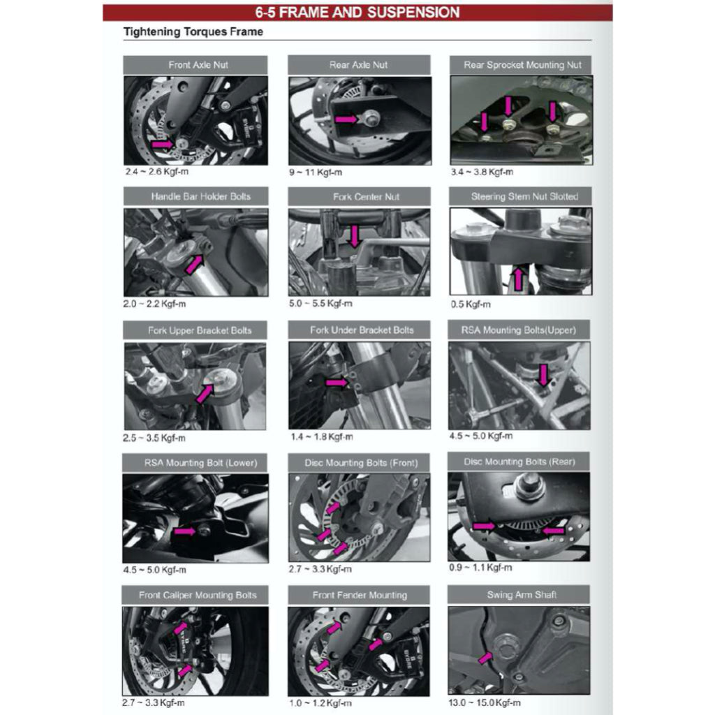 MODENAS DOMINAR 250 DM250 2023+ Full Manual Set – Repair & Maintenance Manual and Spare Parts Catalog and User Handbook - page 8