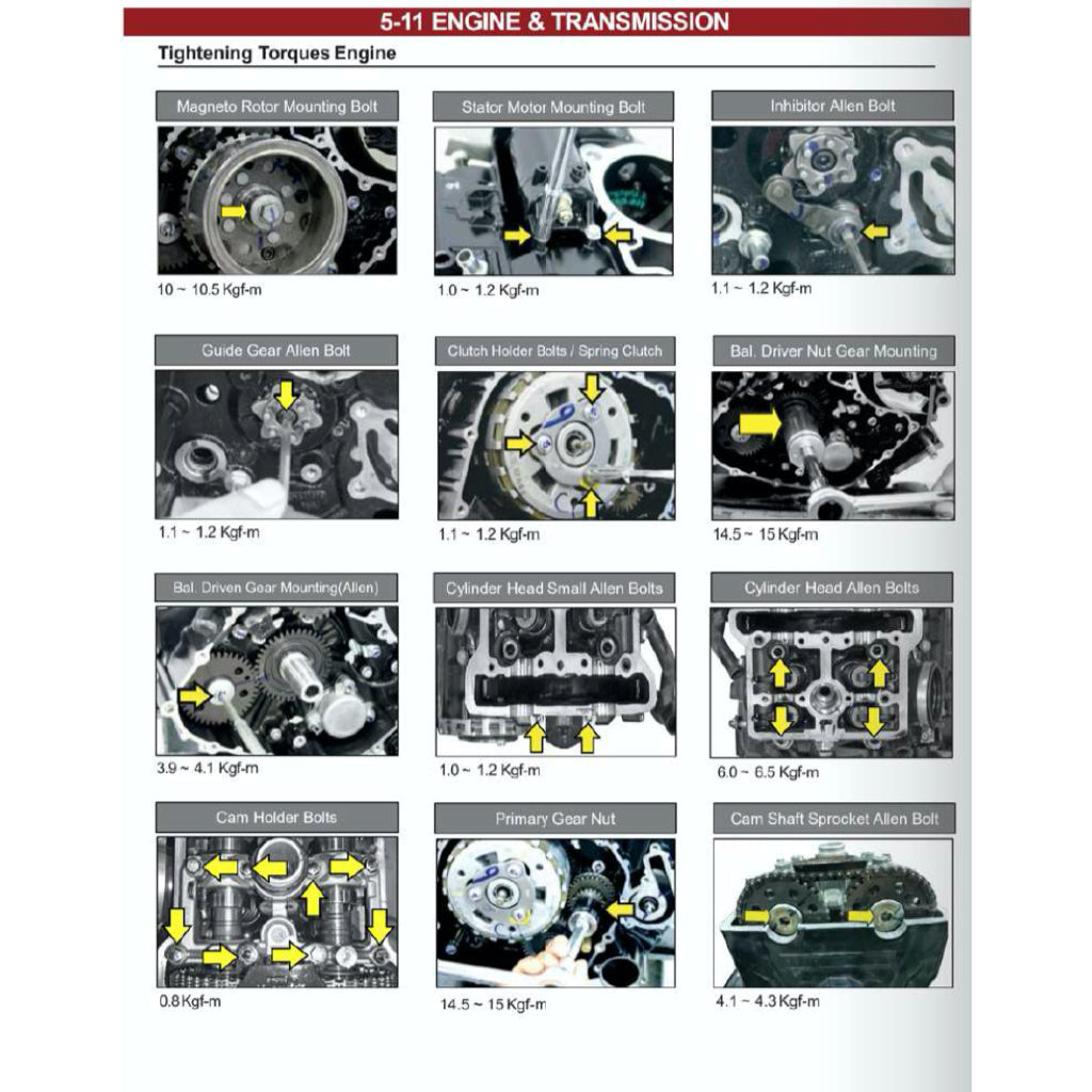 MODENAS DOMINAR 250 DM250 2023+ Full Manual Set – Repair & Maintenance Manual and Spare Parts Catalog and User Handbook - page 7