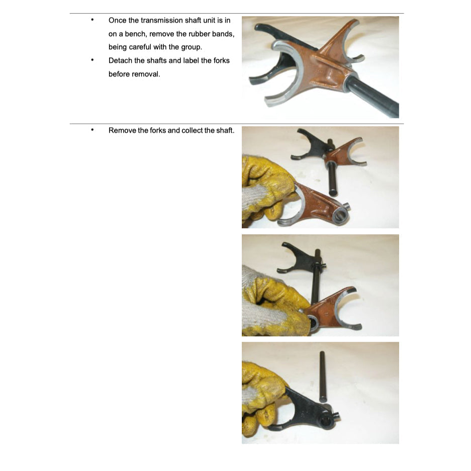 Moto Guzzi STELVIO 4V/8V/NTX 2008+ Full Manual Set – Repair & Maintenance Manual and Spare Parts Catalog and User Handbook - page 5