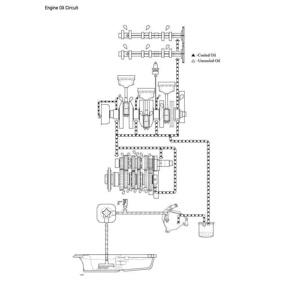 Triumph TRIDENT 660 2021+ Full Manual Set – Repair & Maintenance Manual and User Handbook - page 6