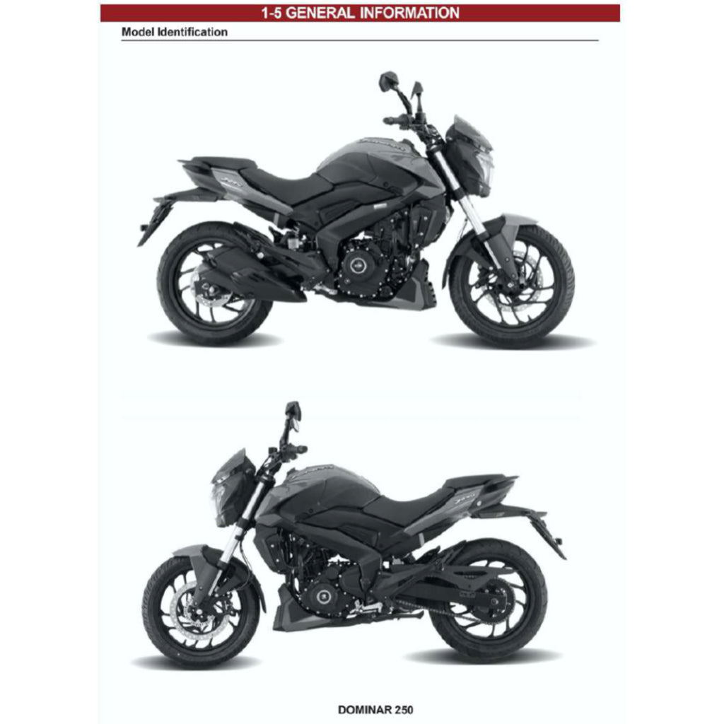 MODENAS DOMINAR 250 DM250 2023+ Full Manual Set – Repair & Maintenance Manual and Spare Parts Catalog and User Handbook - page 3