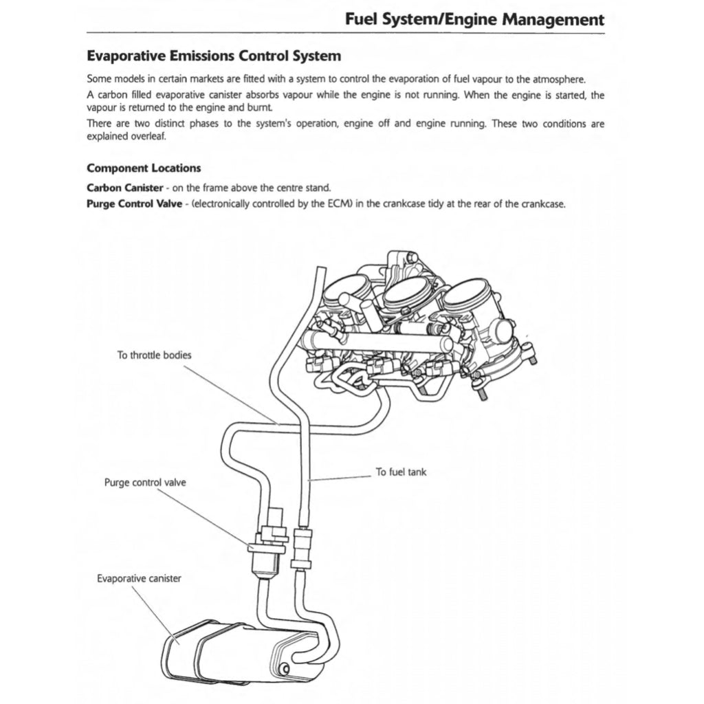 Triumph TIGER EXPLORER 1200 / XC 2012-2015 Full Manual Set – Repair & Maintenance Manual and User Handbook - page 9