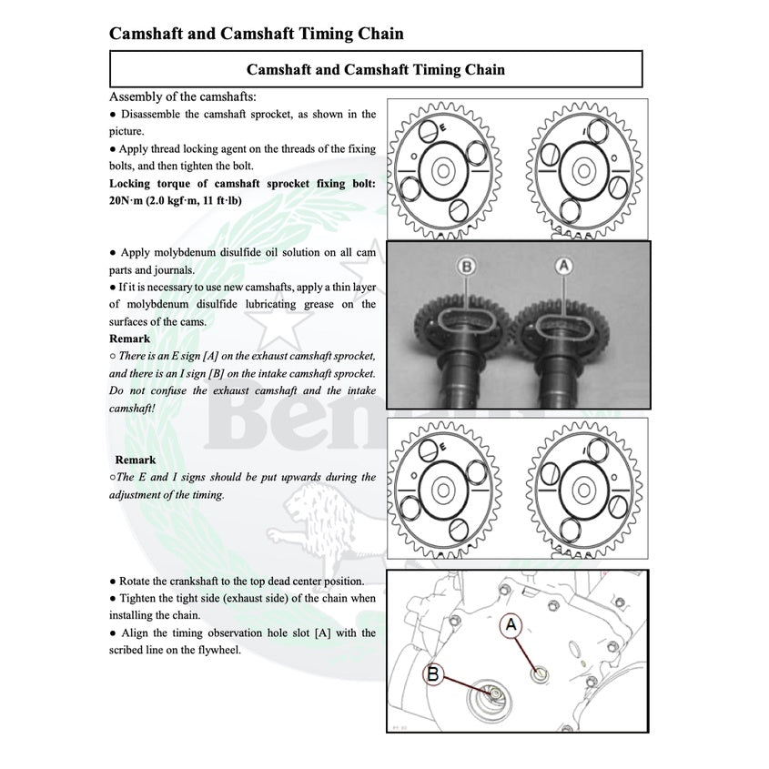 BENELLI TNT300 2015 Full Manual Set – Repair & Maintenance Manual and Spare Parts Catalog and User Handbook - page 3