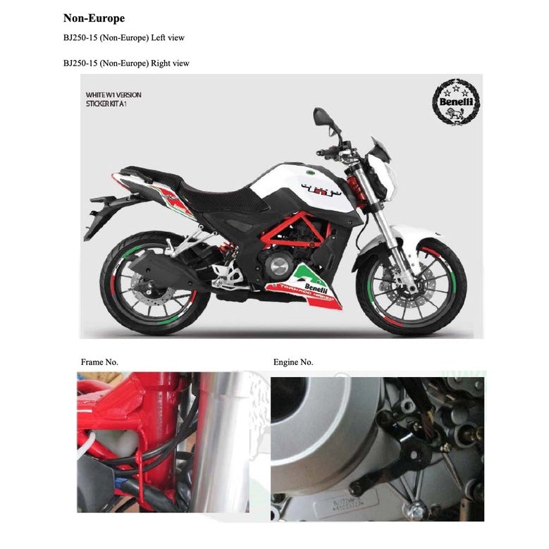 BENELLI TNT25 BN251 2014-2017 Full Manual Set – Repair & Maintenance Manual and Spare Parts Catalog and User Handbook - page 9